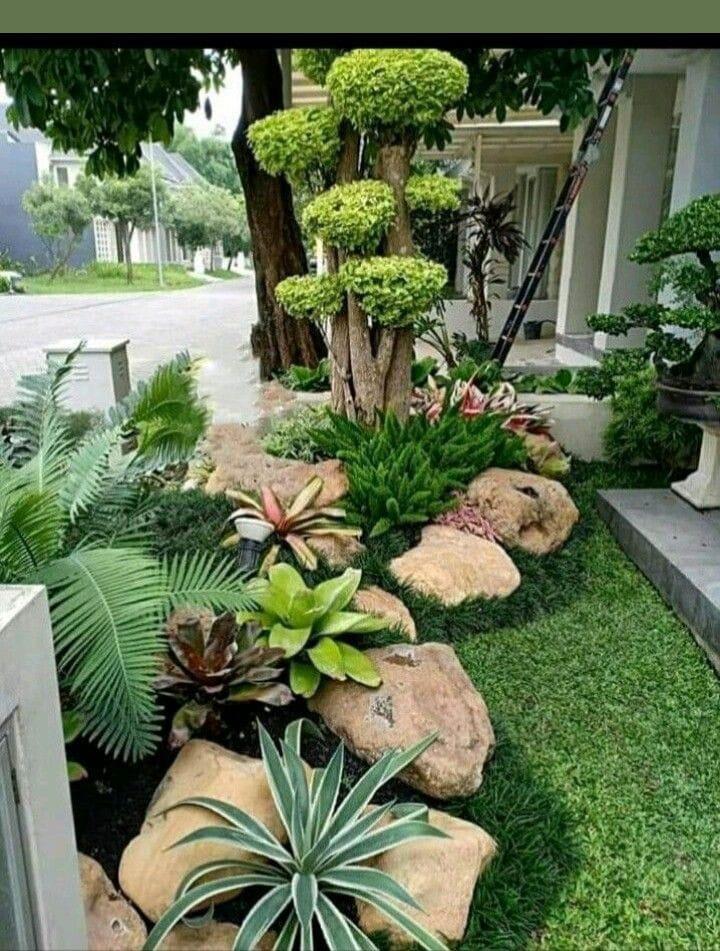 Taman & Kolam